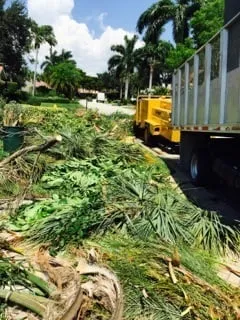 Professional yard maintenance in Naples, FL - C.A. Landscaping & Tree Service