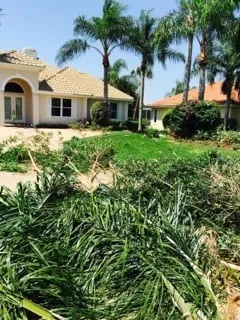 Custom lawn mowing service in Naples, FL - C.A. Landscaping & Tree Service