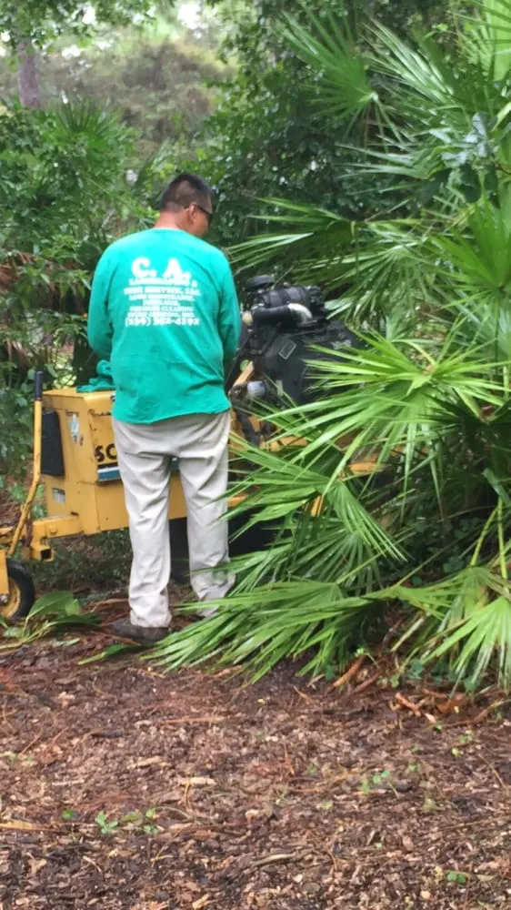 Expert yard cleanup service in Naples, FL by C.A. Landscaping & Tree Service