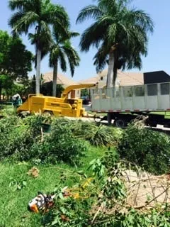 Trusted landscaping services experts serving Naples, FL - C.A. Landscaping & Tree Service