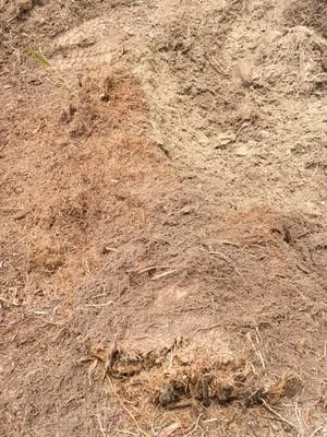 C.A. Landscaping & Tree Service Logo