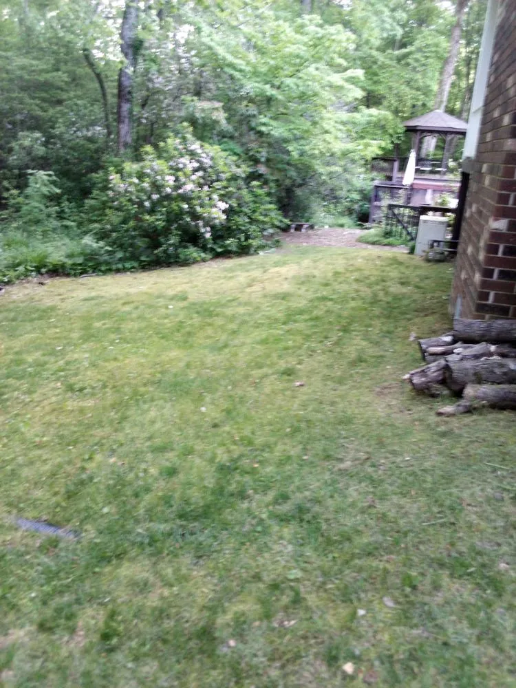 Professional lawn care service experts serving Chattanooga, TN - C&A Landscaping And Tree Services