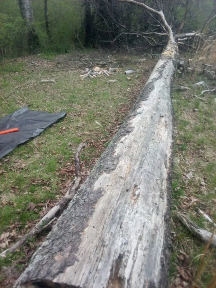 Affordable residential landscaping for homes in Chattanooga, TN by C&A Landscaping And Tree Services