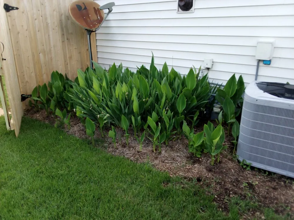 Local garden landscaping experts serving Chattanooga, TN - C&A Landscaping And Tree Services