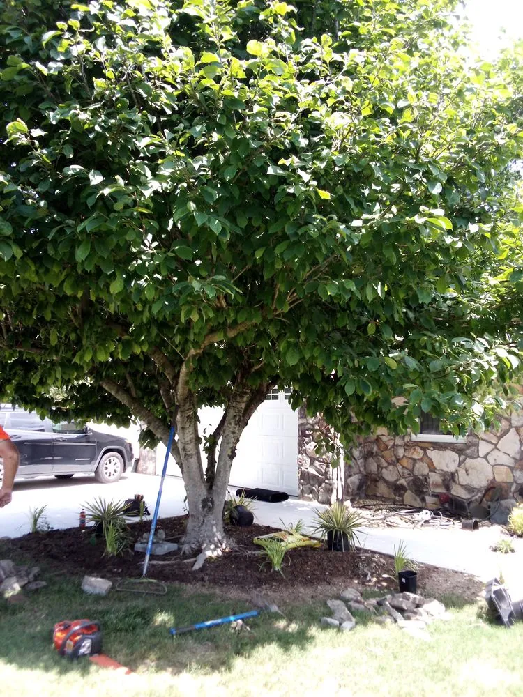 Trusted landscape design near you across Chattanooga, TN - C&A Landscaping And Tree Services