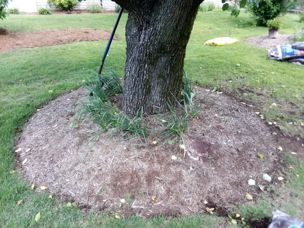 Expert landscaping services for residential properties across Chattanooga, TN - C&A Landscaping And Tree Services