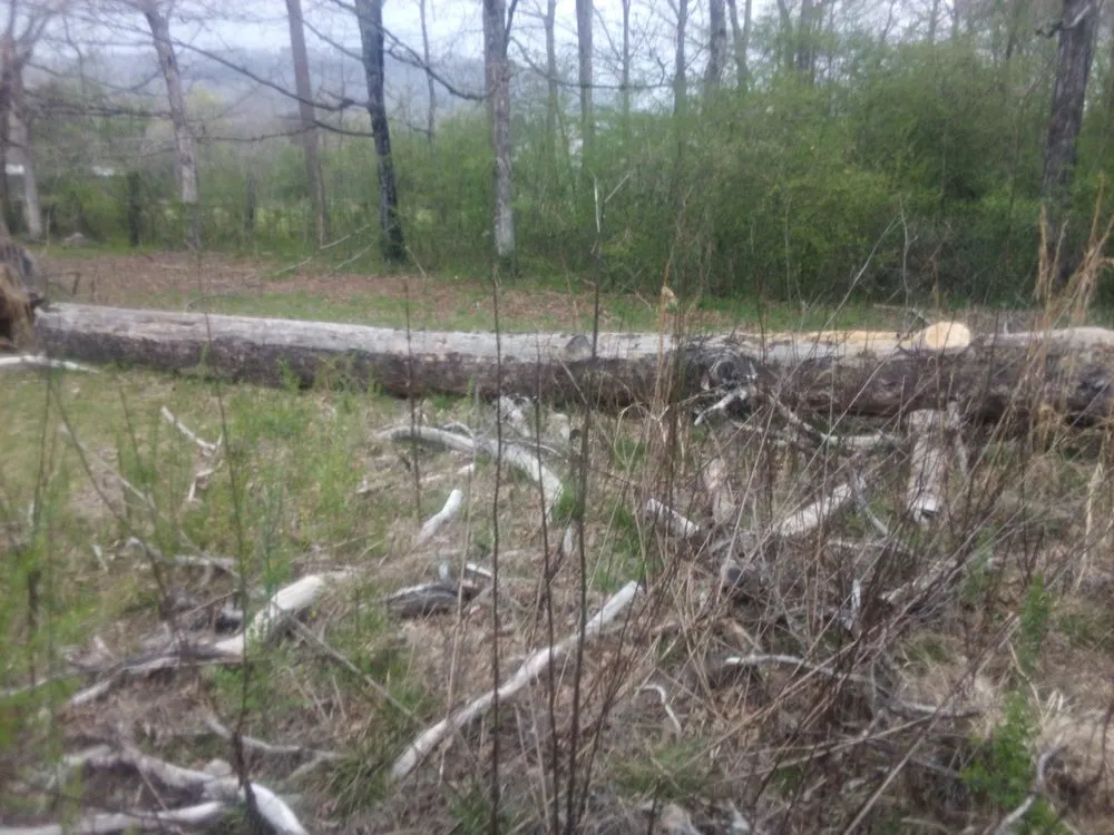 Reliable lawn mowing service in Chattanooga, TN - C&A Landscaping And Tree Services