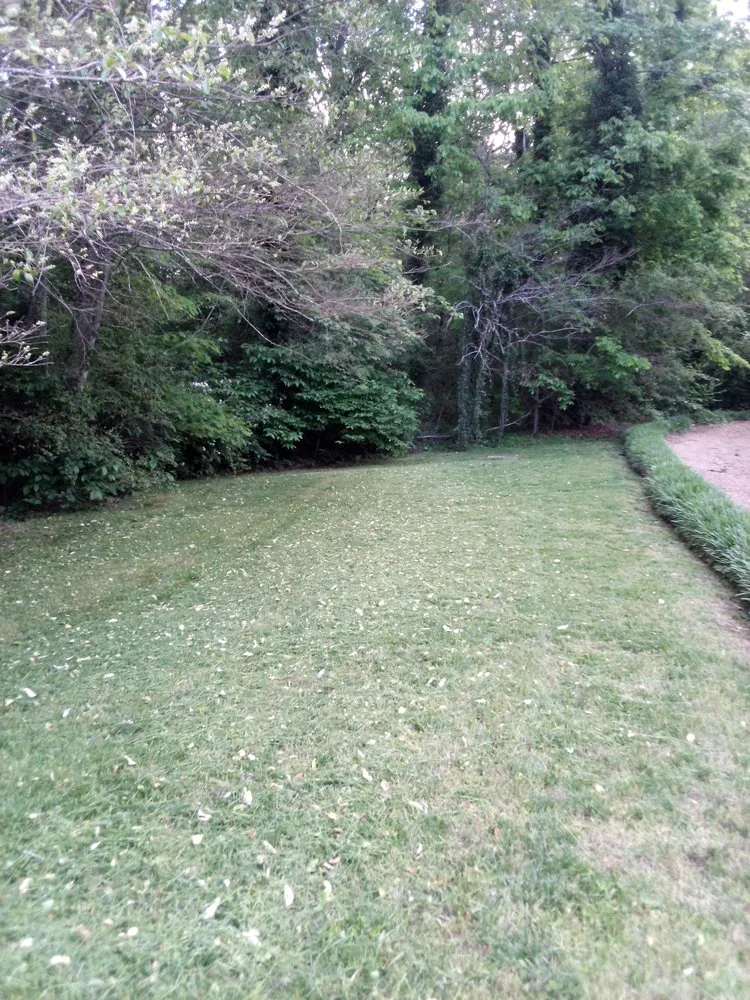 Professional lawn mowing service in Chattanooga, TN by C&A Landscaping And Tree Services