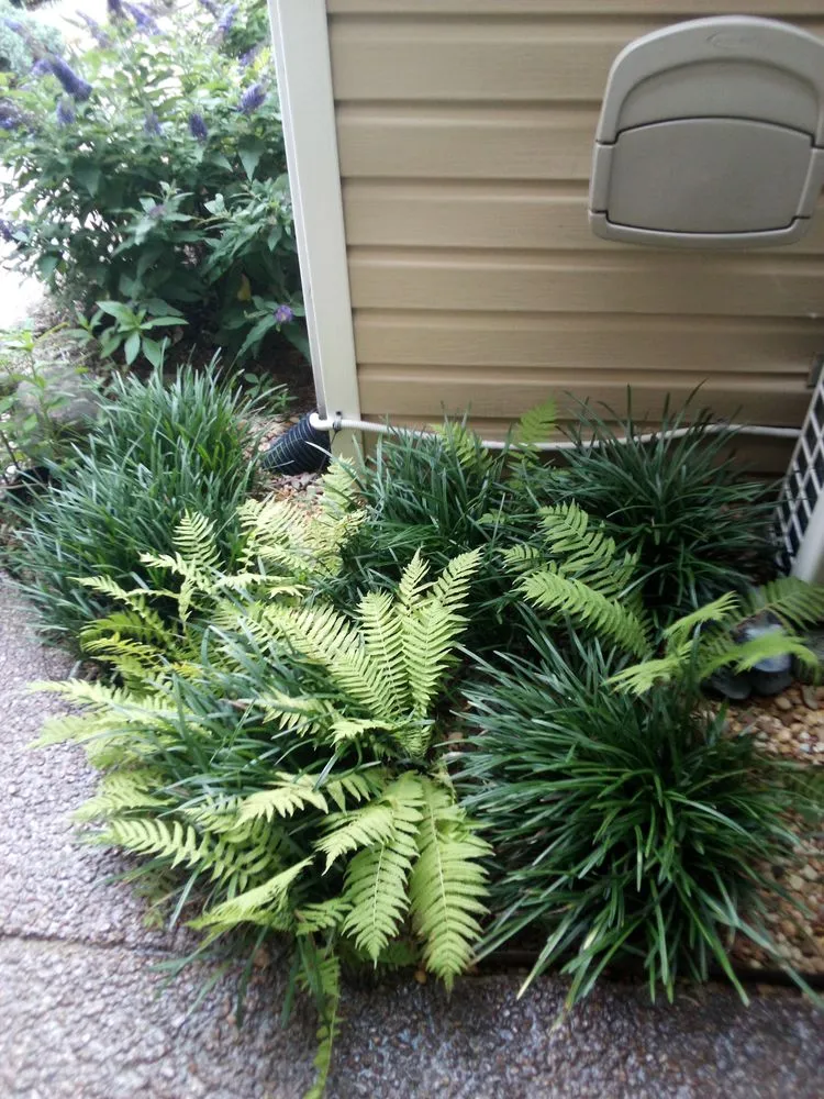 Custom outdoor landscaping for year-round maintenance across Chattanooga, TN - C&A Landscaping And Tree Services