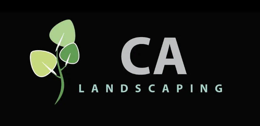 Trusted yard maintenance in El Paso, TX - CA Landscaping