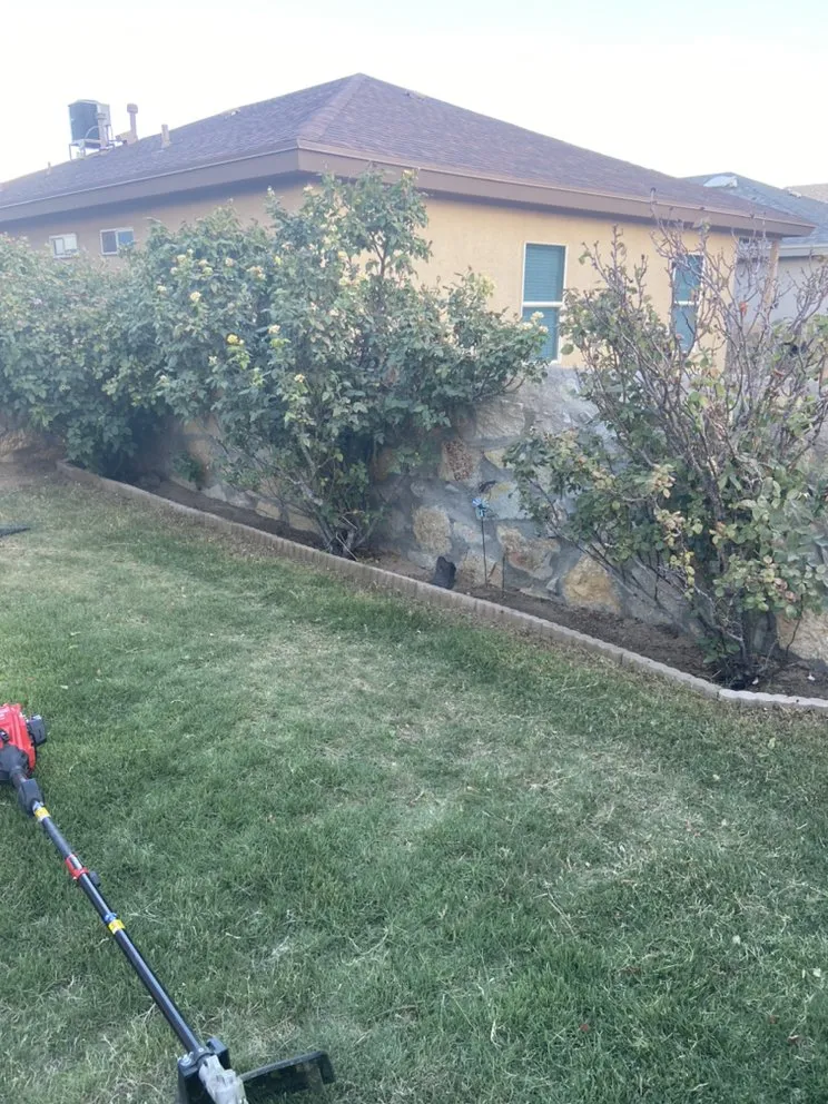 Affordable landscaping services for homes in El Paso, TX by CA Landscaping
