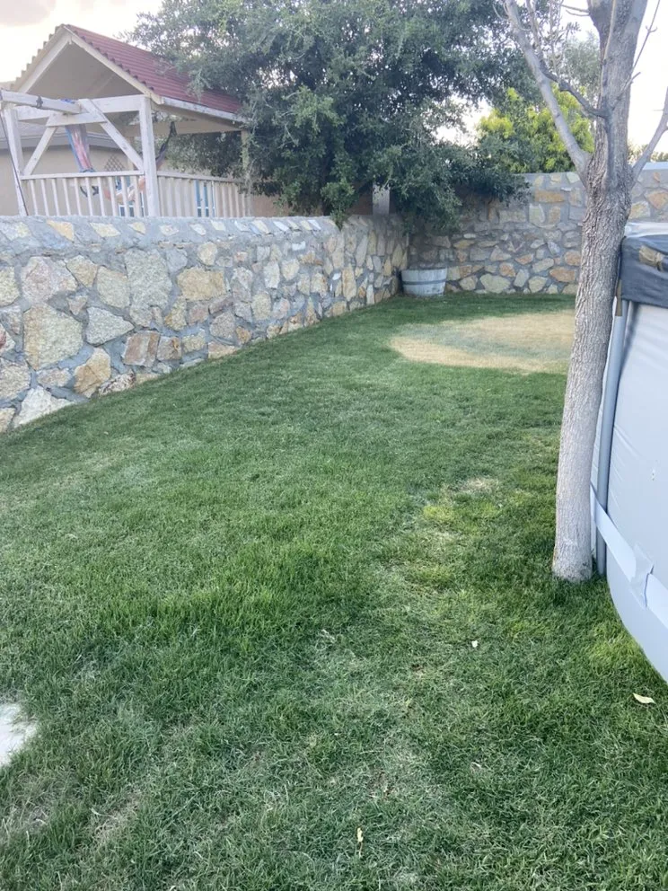 Professional landscaping services for year-round maintenance in El Paso, TX by CA Landscaping