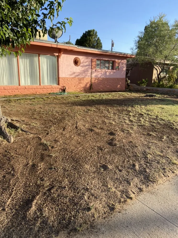 Local landscape design in El Paso, TX by CA Landscaping