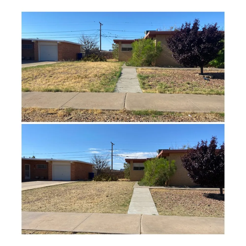 Trusted lawn care service in El Paso, TX - CA Landscaping