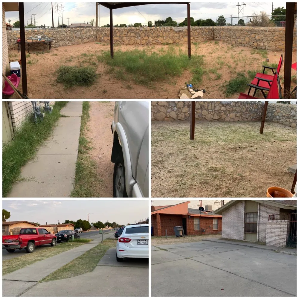 Custom yard maintenance experts serving El Paso, TX - CA Landscaping