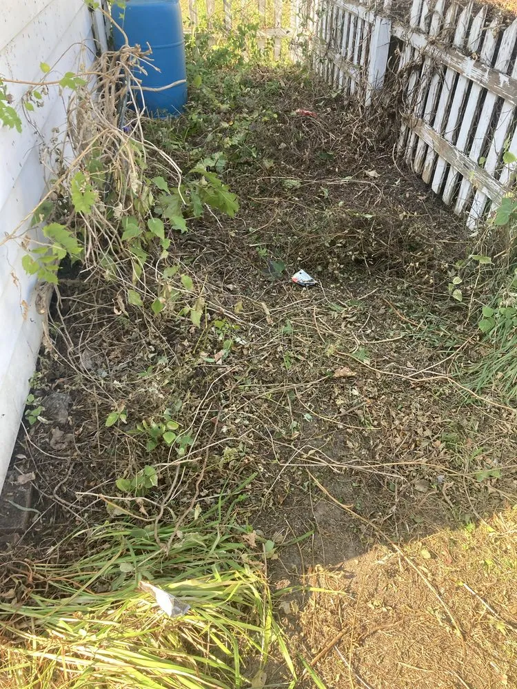 Custom landscape installation near you in Jamestown, NY by C+A Landscaping