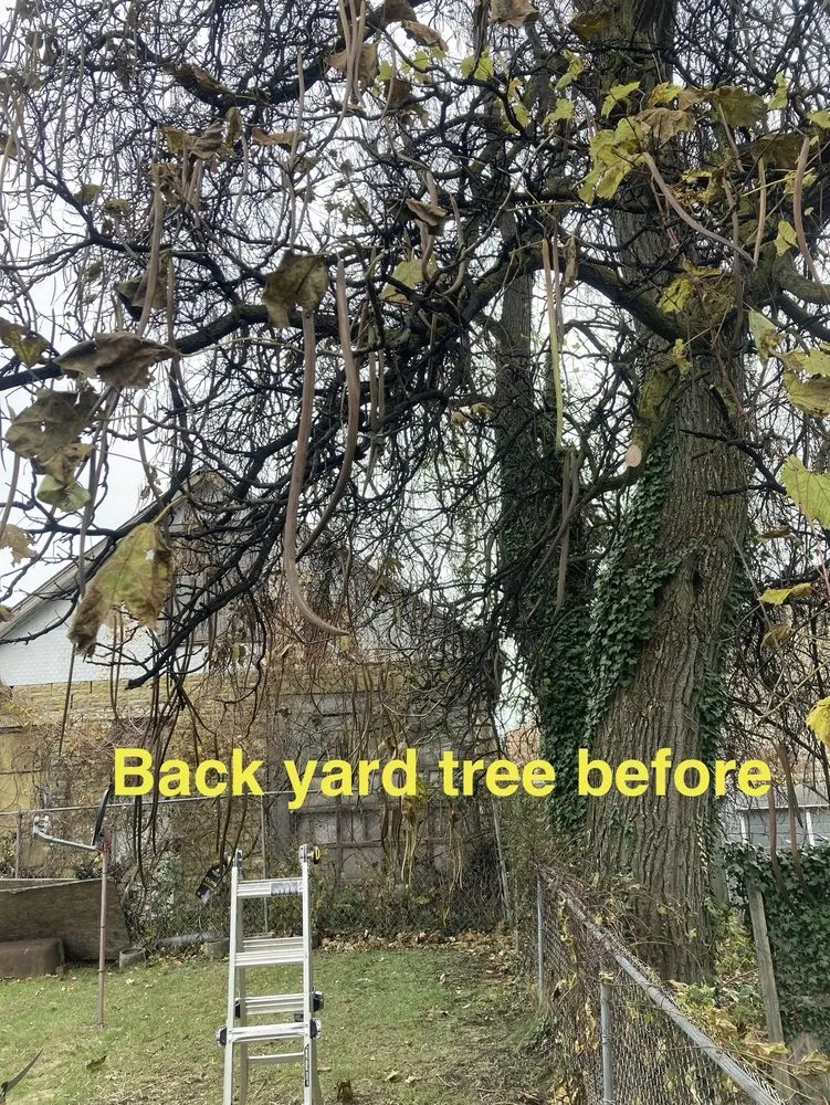 Custom landscaping services for residential properties in Jamestown, NY by C+A Landscaping