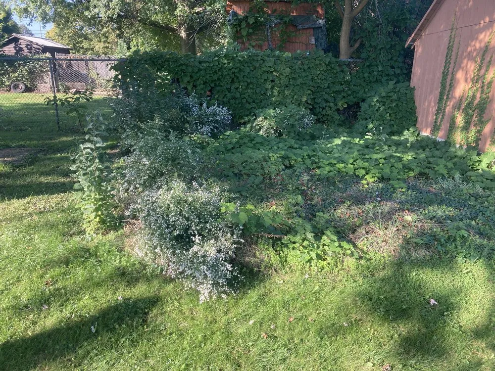 Trusted landscape design for year-round maintenance in Jamestown, NY by C+A Landscaping