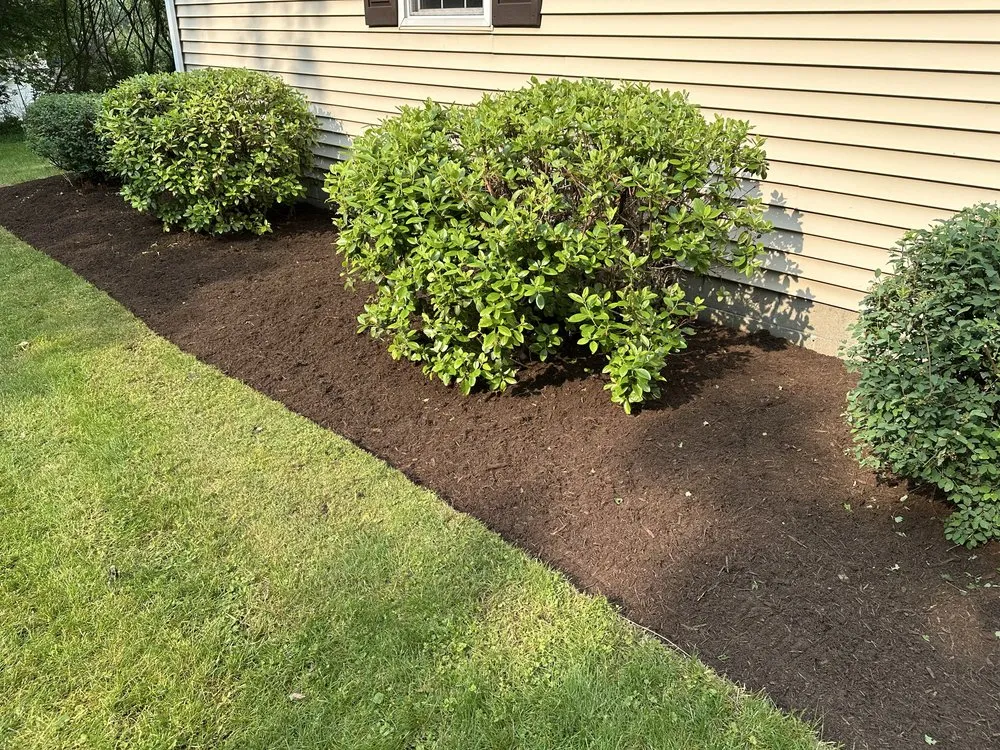 Custom yard maintenance experts serving Jamestown, NY - C+A Landscaping