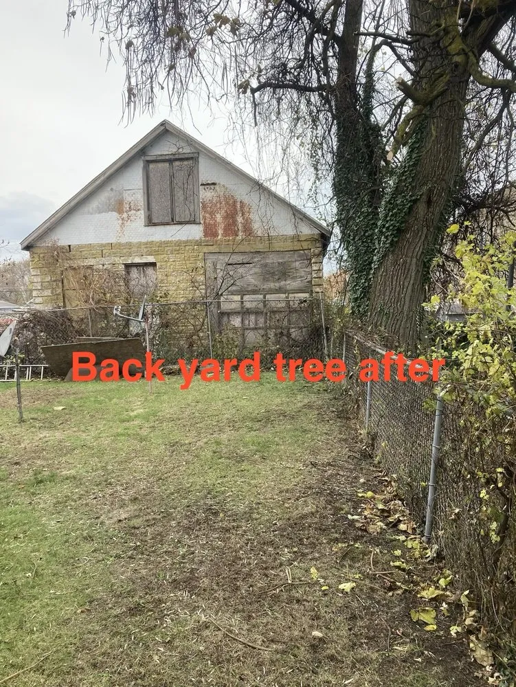 Expert yard maintenance with custom design in Jamestown, NY by C+A Landscaping