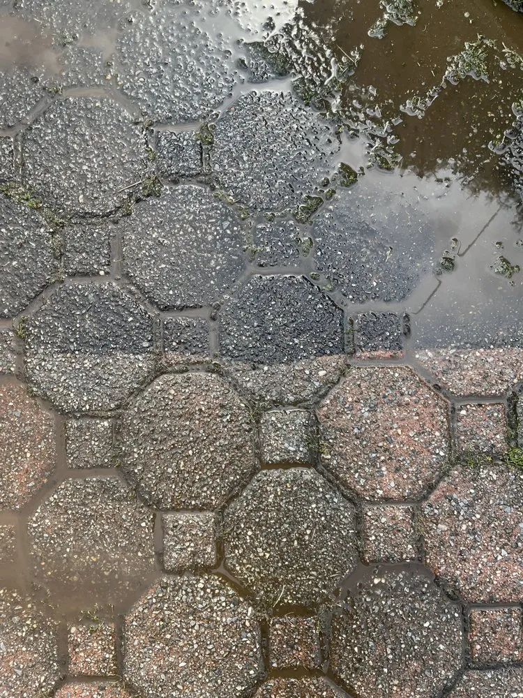 Custom lawn care service experts serving Melville, NY - C&A Landscaping