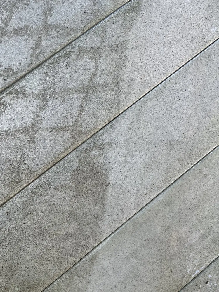 Top-rated yard cleanup service for year-round maintenance across Melville, NY - C&A Landscaping