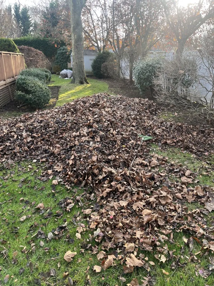 Custom lawn mowing service near you across Melville, NY - C&A Landscaping