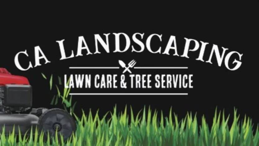 Professional landscape design in San Fernando Valley, CA by CA Landscaping