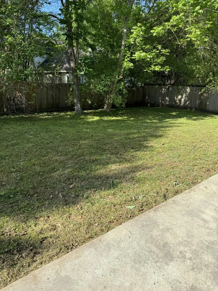 Reliable yard maintenance experts serving Montgomery, TX - CA Landscaping Services