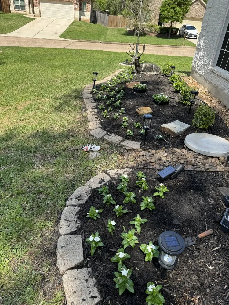 Professional yard maintenance in Montgomery, TX - CA Landscaping Services