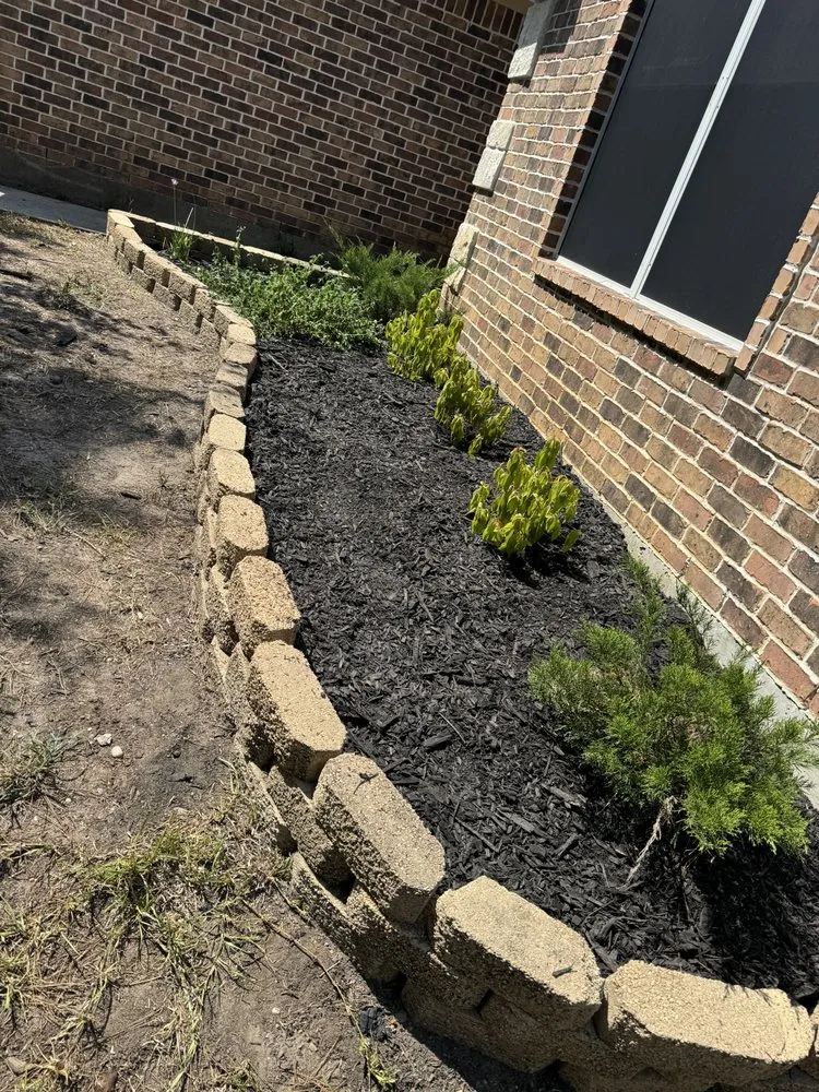 Affordable yard cleanup service for beautiful yards across Montgomery, TX - CA Landscaping Services