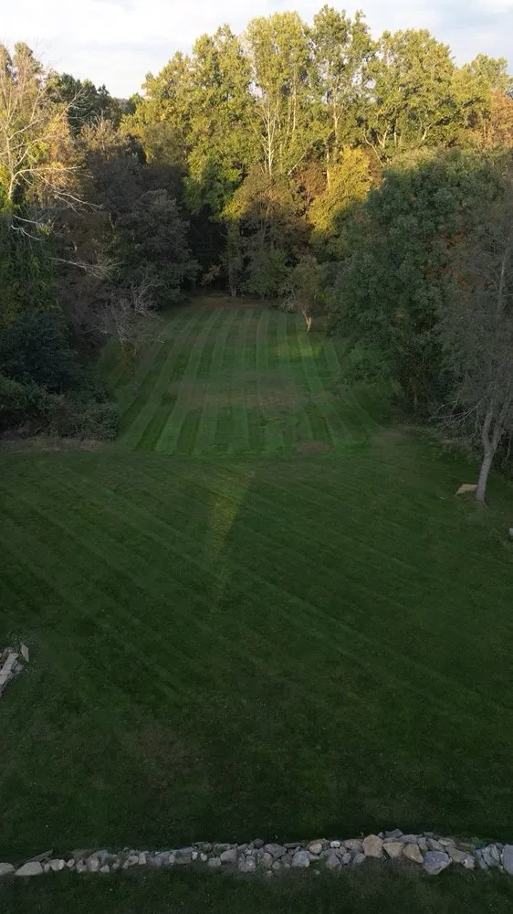 Expert yard maintenance for year-round maintenance in Trumbull, CT by CA Landscaping