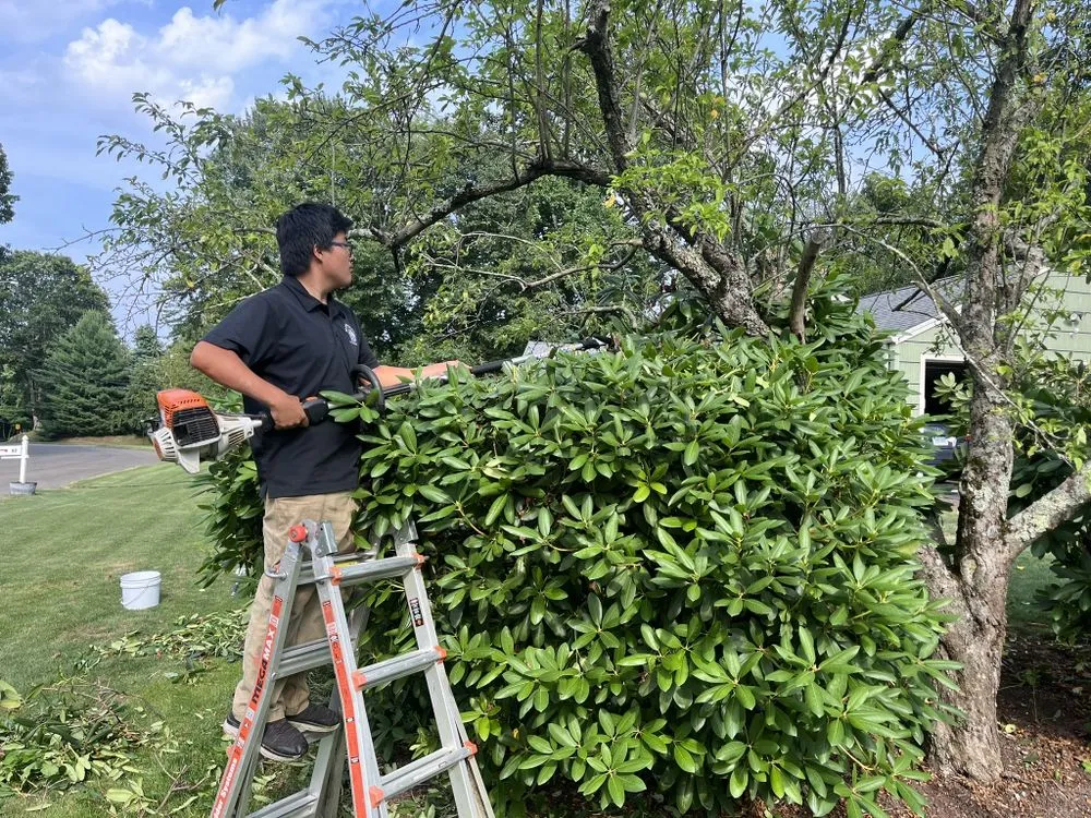 Local residential landscaping in Trumbull, CT - CA Landscaping