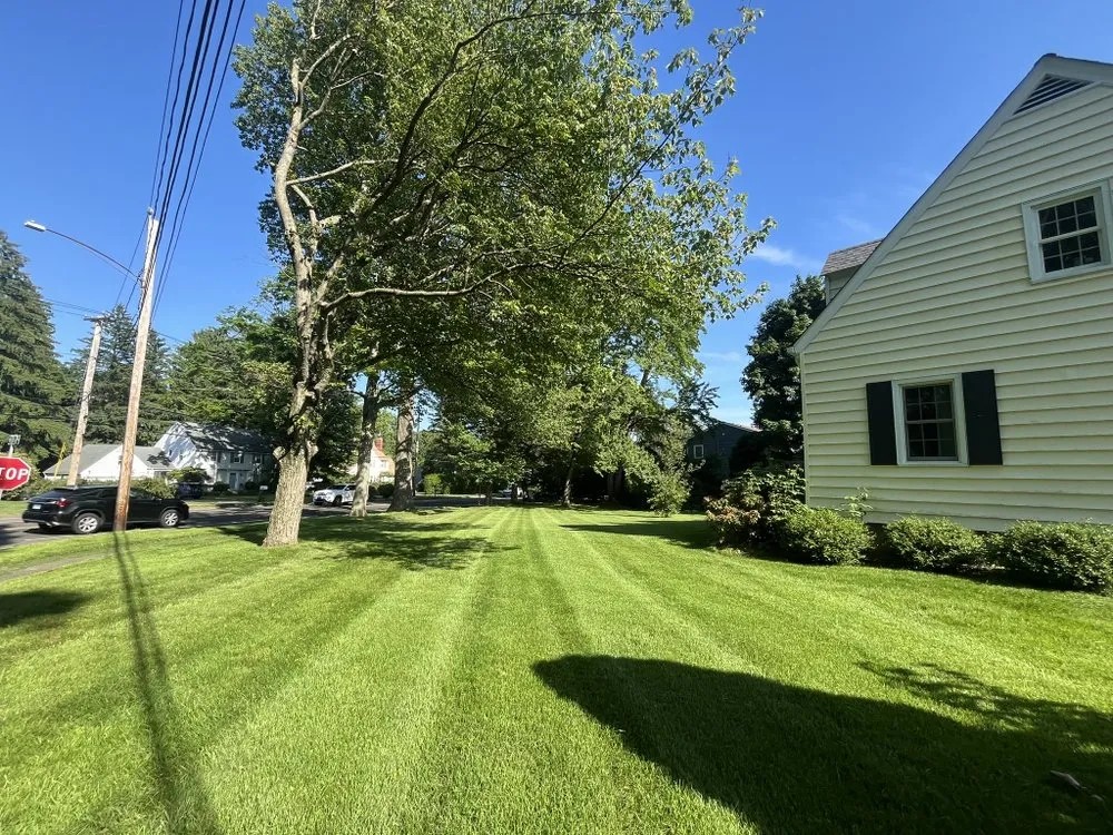 Local landscaping services with custom design across Trumbull, CT - CA Landscaping