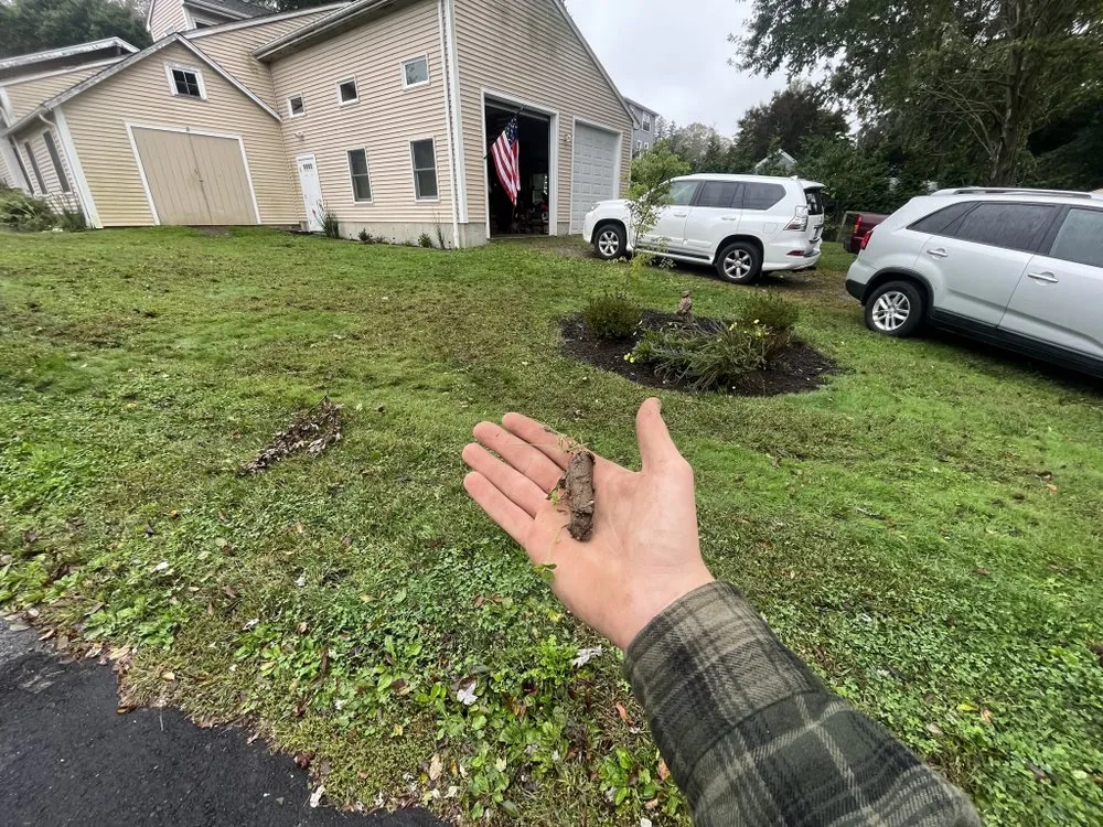 Custom yard maintenance for outdoor upgrades in Trumbull, CT by CA Landscaping