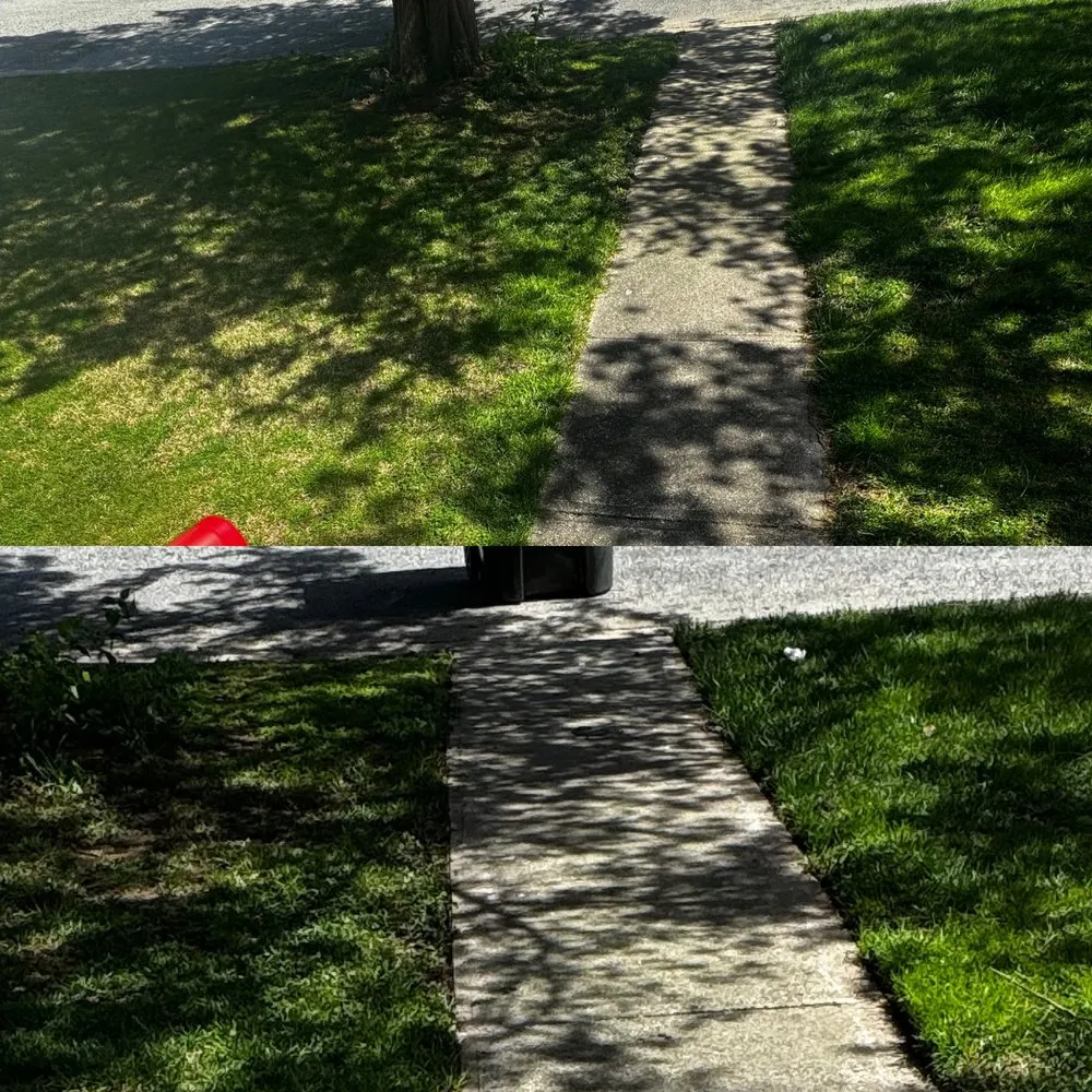 Expert yard cleanup service in Claymont, DE by CA Lawn Care