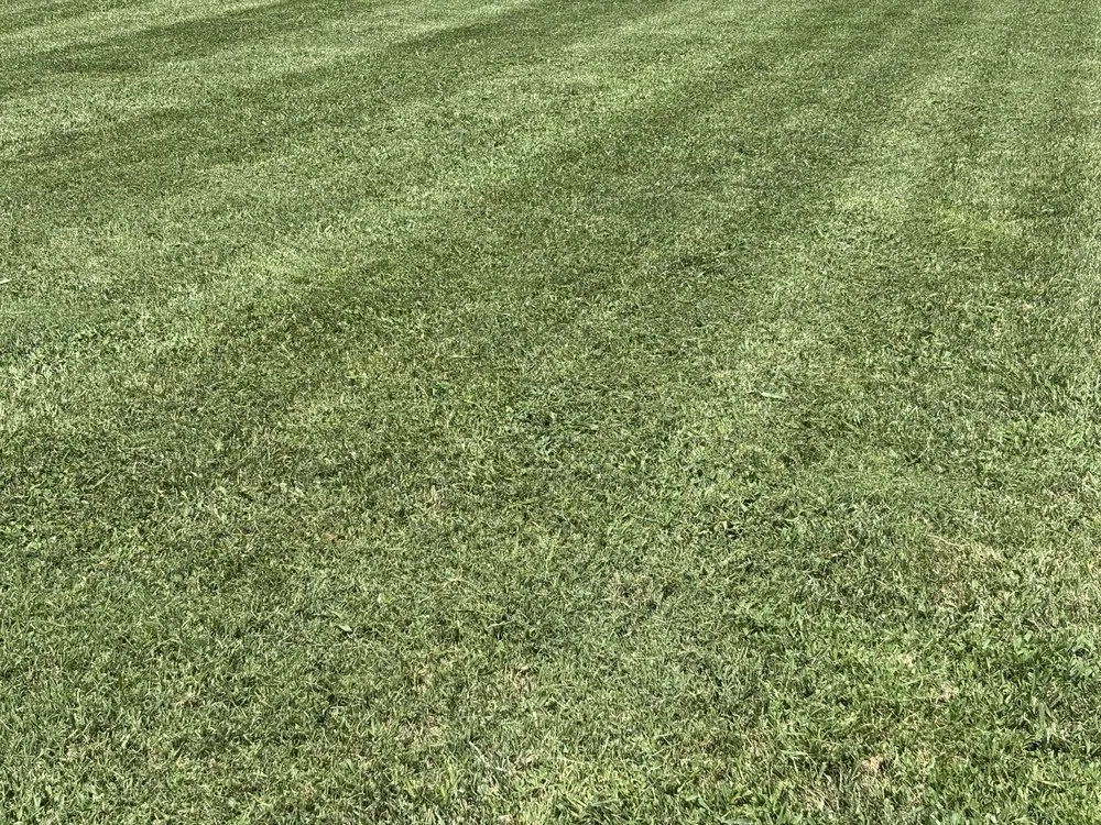 Local garden landscaping for outdoor upgrades across Republic, MO - C&A Lawn Services