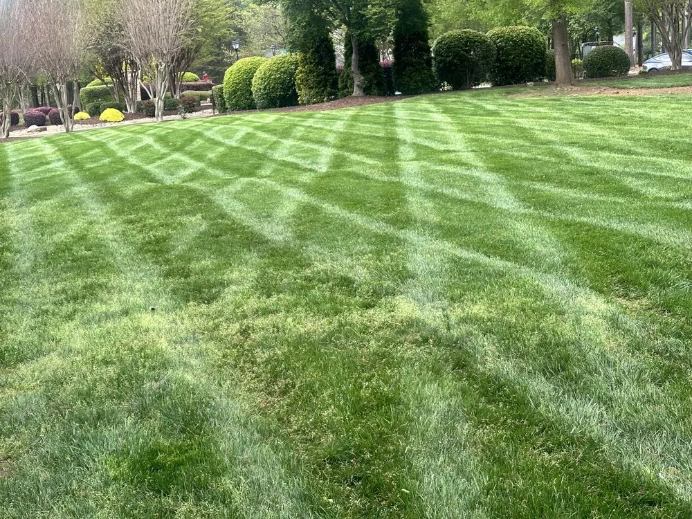 Top-rated lawn mowing service experts serving Statesville, NC - C&A Lawnscaping