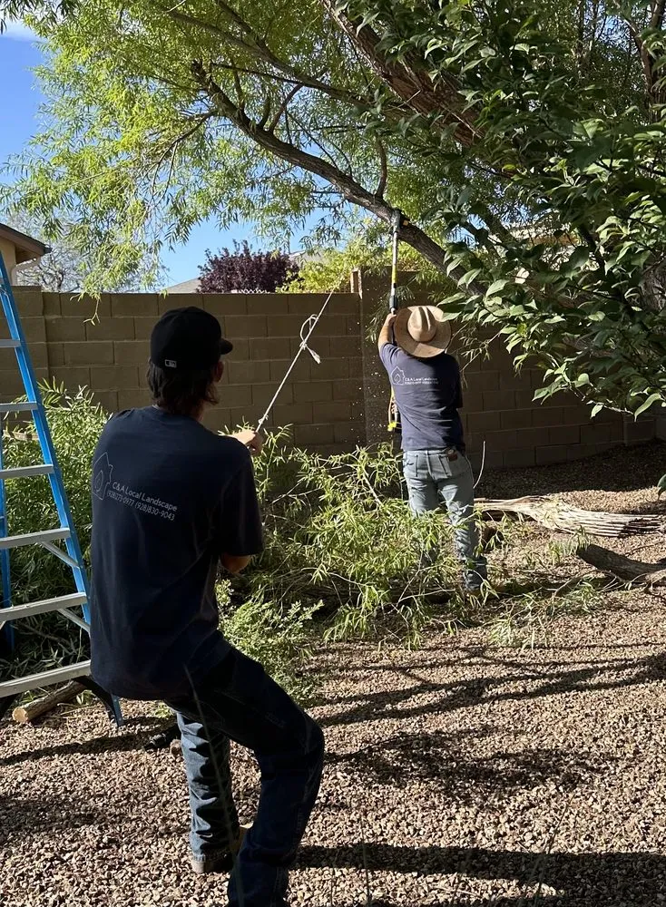 Reliable yard cleanup service in Prescott Valley, AZ by C&A Local Landscape