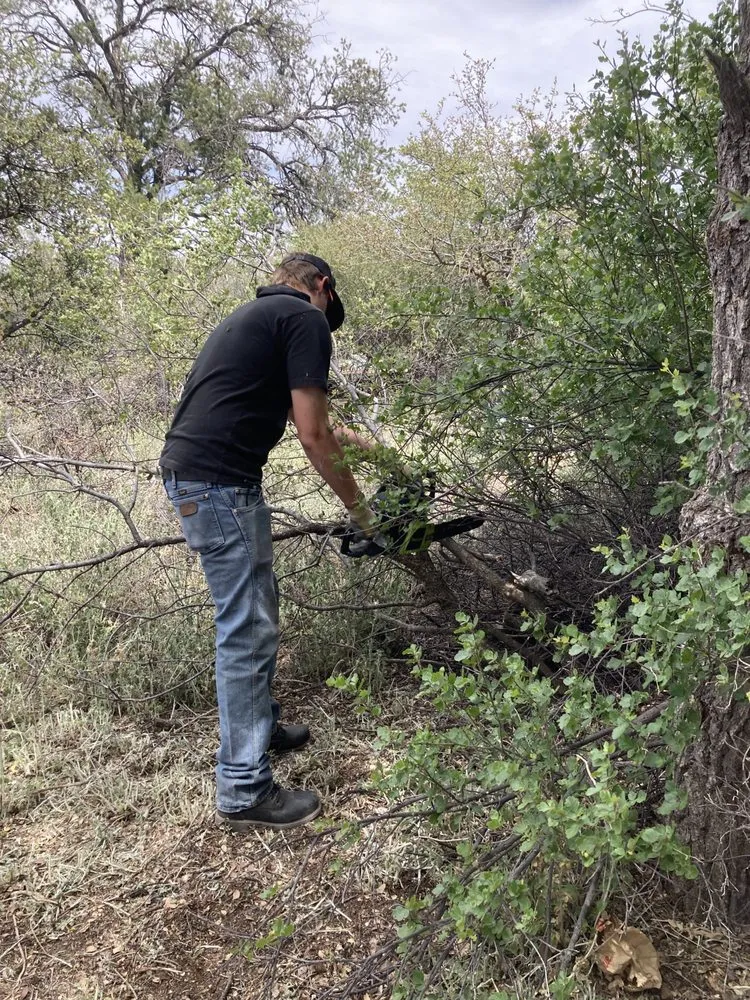 Trusted outdoor landscaping experts serving Prescott Valley, AZ - C&A Local Landscape