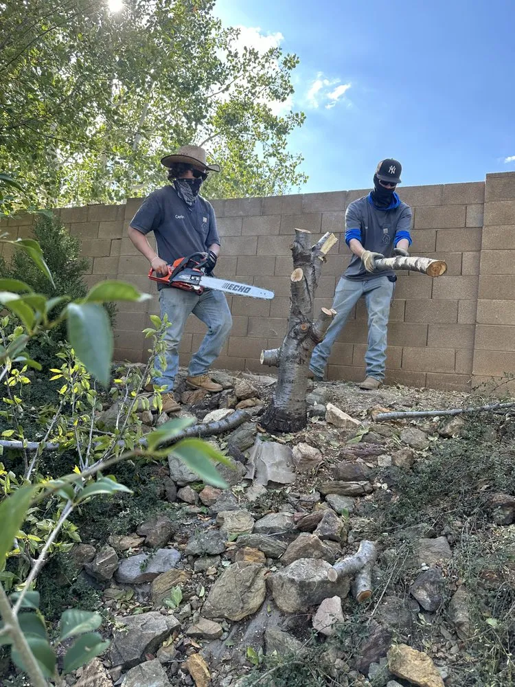 Top-rated lawn care service experts serving Prescott Valley, AZ - C&A Local Landscape