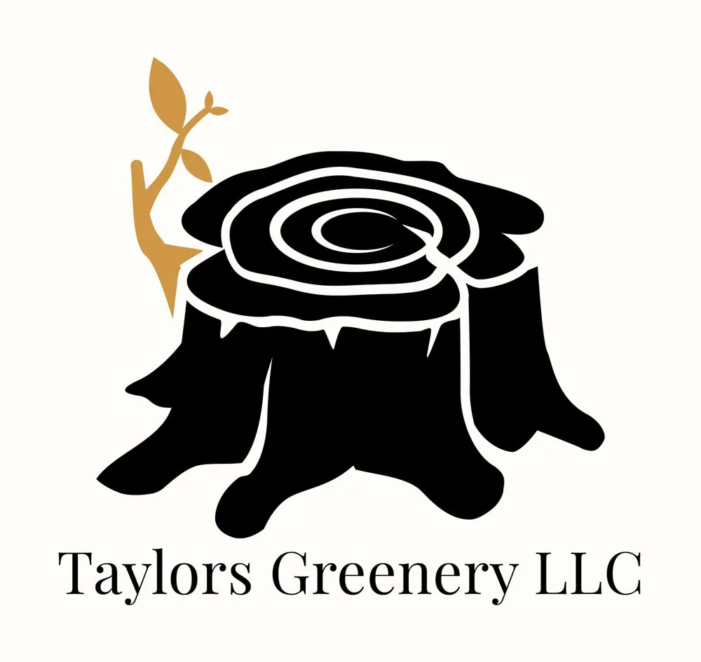 Professional landscape installation in Roberta, GA - C&A Management
