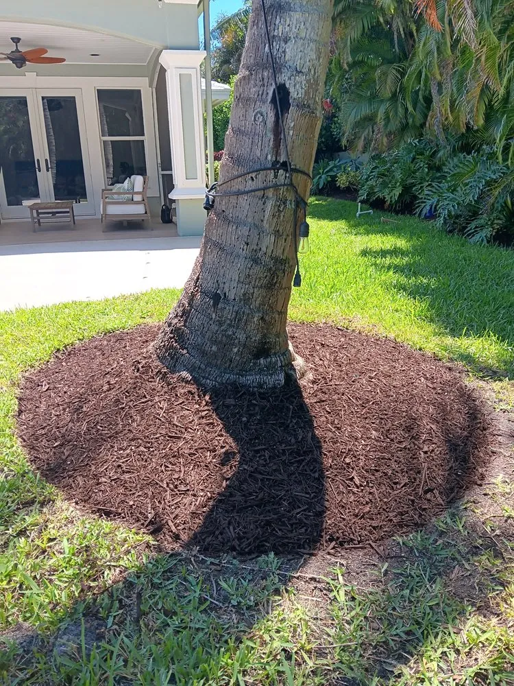 Reliable landscape design in Fort Pierce, FL - CA Mondono Lawn Service