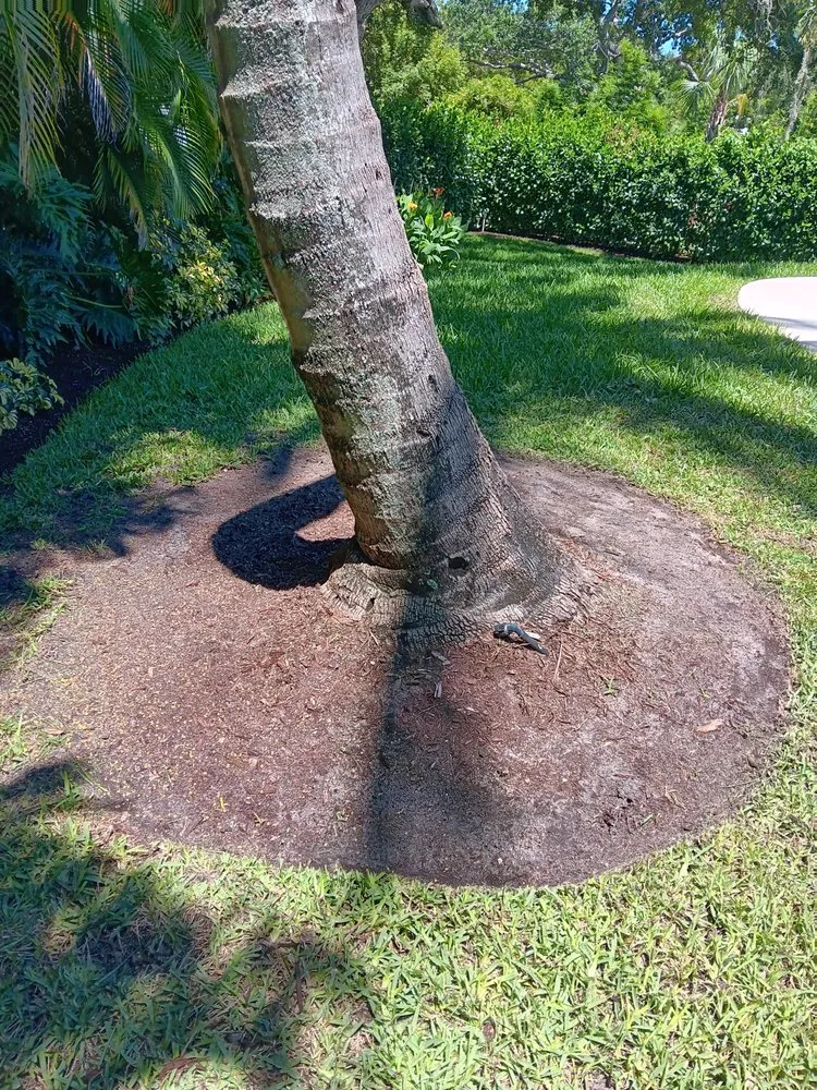 Affordable residential landscaping in Fort Pierce, FL by CA Mondono Lawn Service