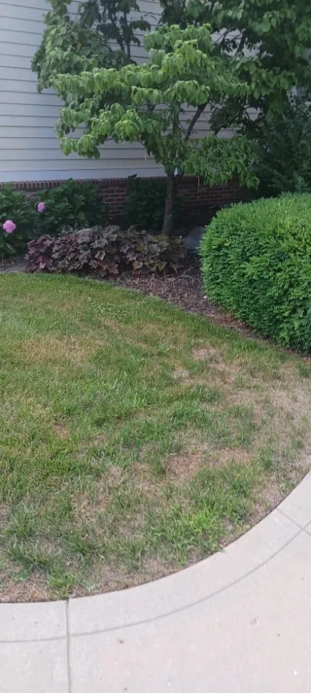 Reliable residential landscaping in Noblesville, IN by C&A Outdoors