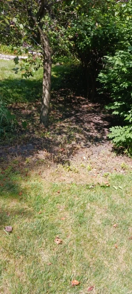 Trusted residential landscaping in Noblesville, IN by C&A Outdoors