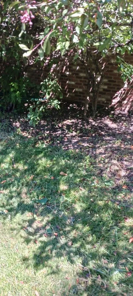 Top-rated outdoor landscaping for outdoor upgrades in Noblesville, IN by C&A Outdoors