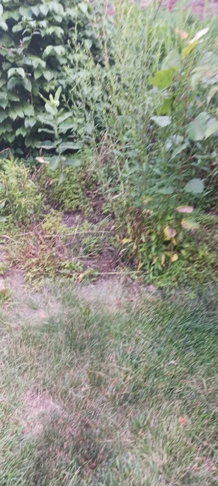 Local outdoor landscaping in Noblesville, IN by C&A Outdoors