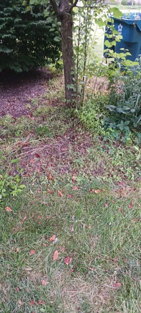 Trusted garden landscaping in Noblesville, IN by C&A Outdoors