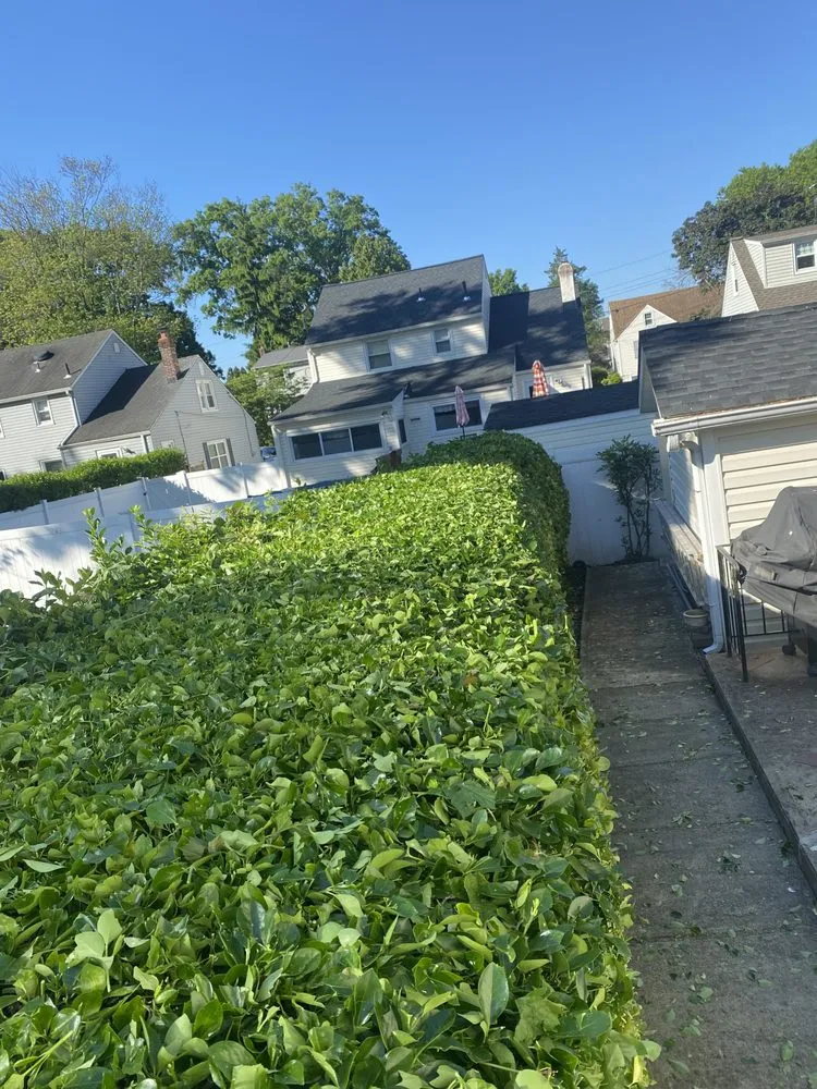 Professional yard cleanup service for outdoor upgrades in IND HILLSIDE, NJ by C&A Penafiel